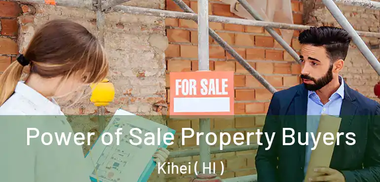  Power of Sale Property Buyers Kihei ( HI )