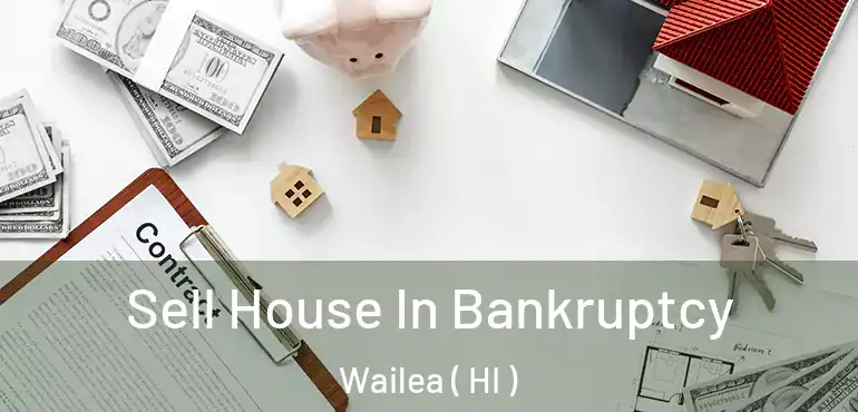  Sell House In Bankruptcy Wailea ( HI )